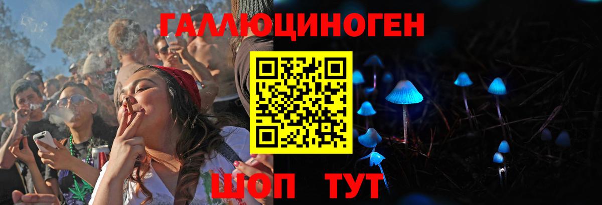 Лосино-Петровский  Псилоцибиновые грибы MAGIC MUSHROOMS  цены наркотик  Вход с VPN 